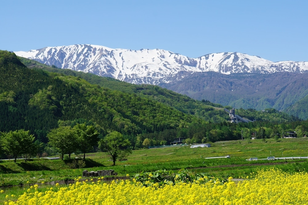 マウンテン ビュー