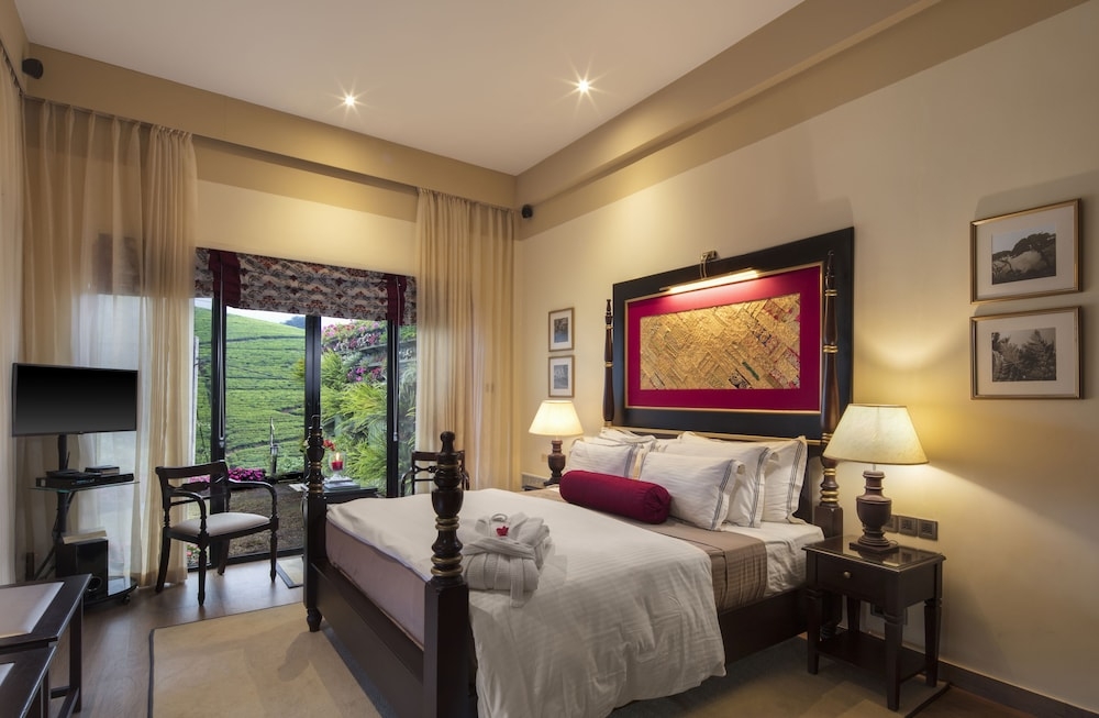 マウンテン ビュー