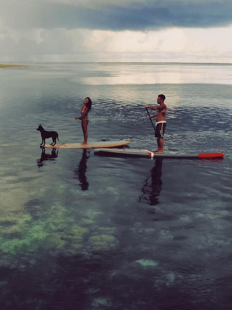 フィットネス設備