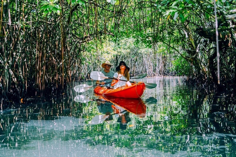 フィットネス設備