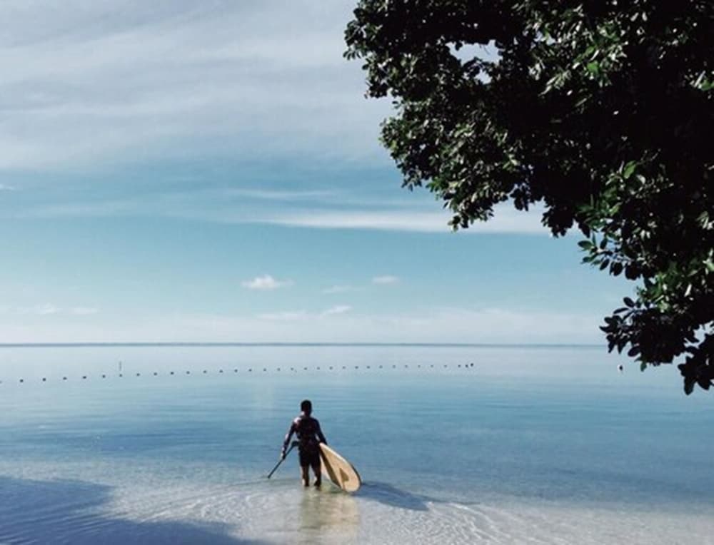 サーフィン / ボディボード