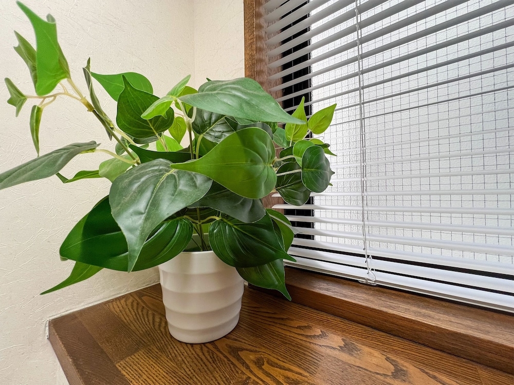 内部エントランス