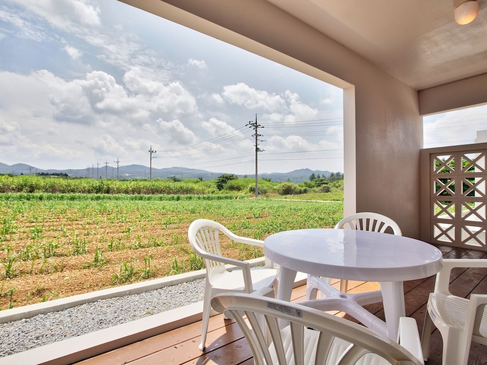 施設からの眺望