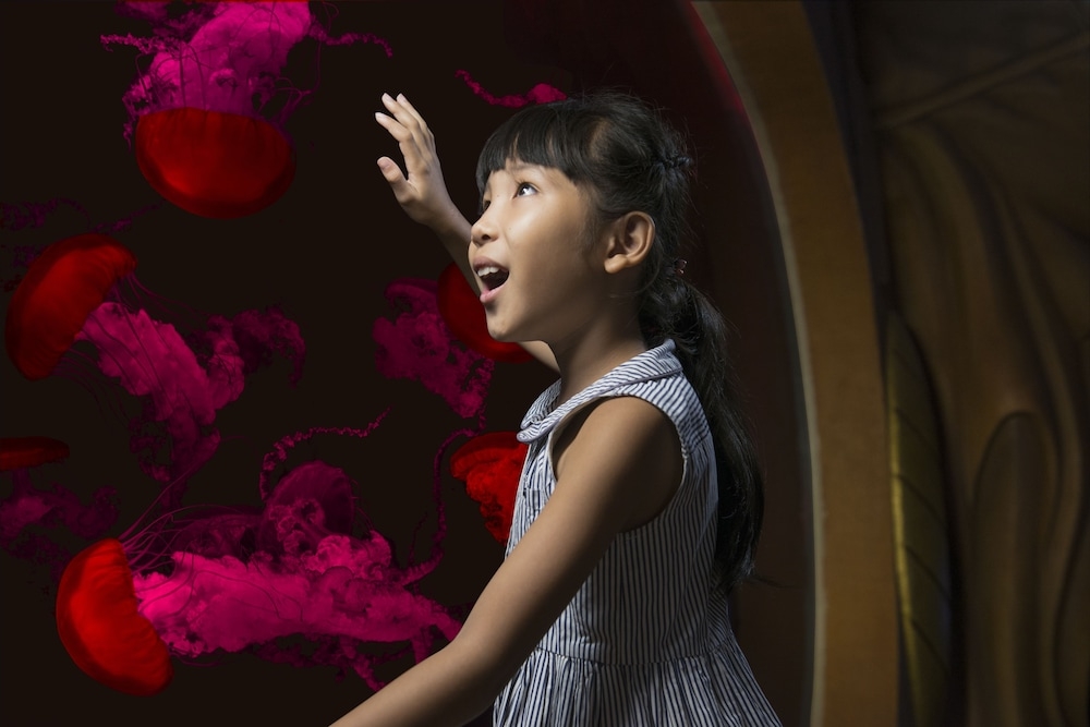 子供用の遊び場 - 屋内