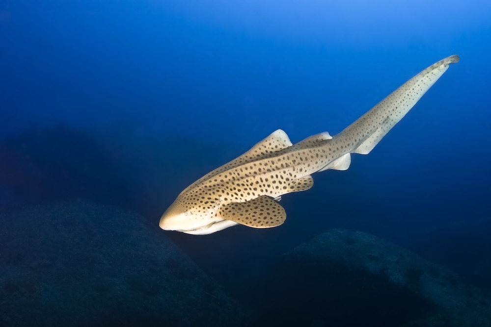 施設からの眺望