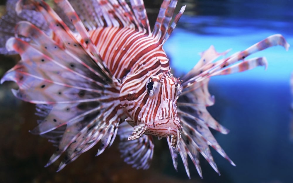 施設からの眺望