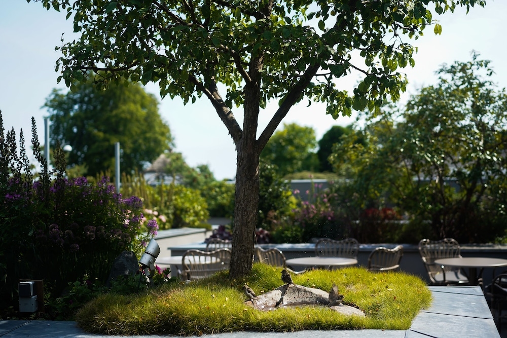 テラス / パティオ