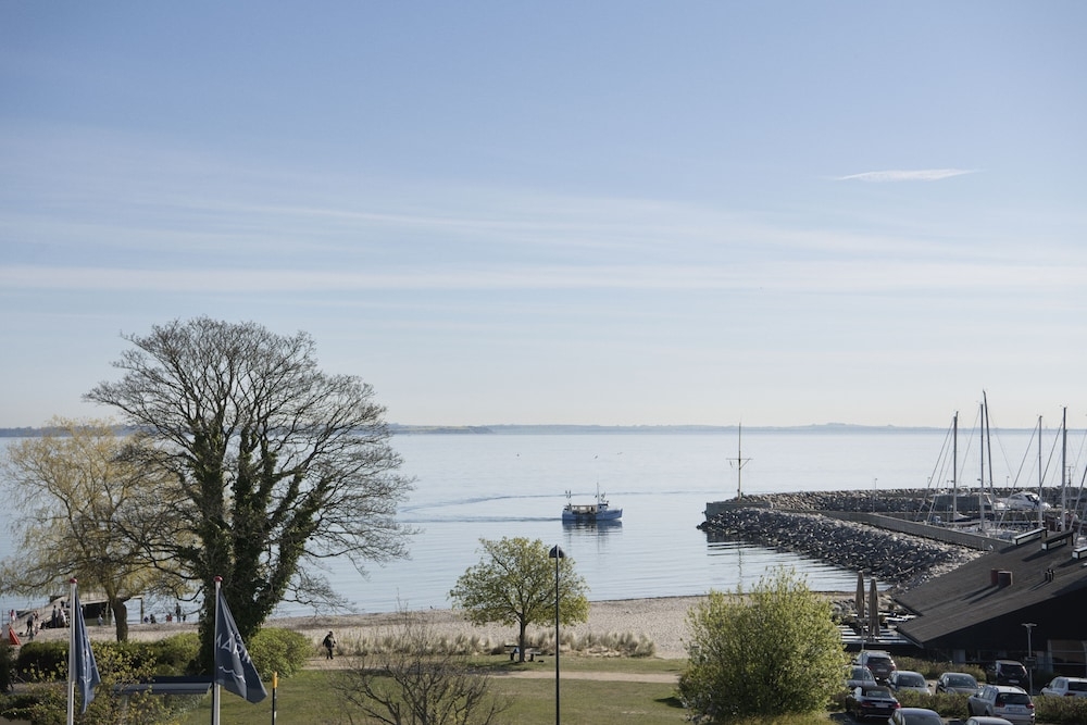 ビーチ / オーシャン ビュー