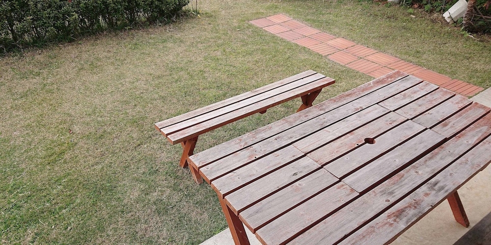 テラス / パティオ