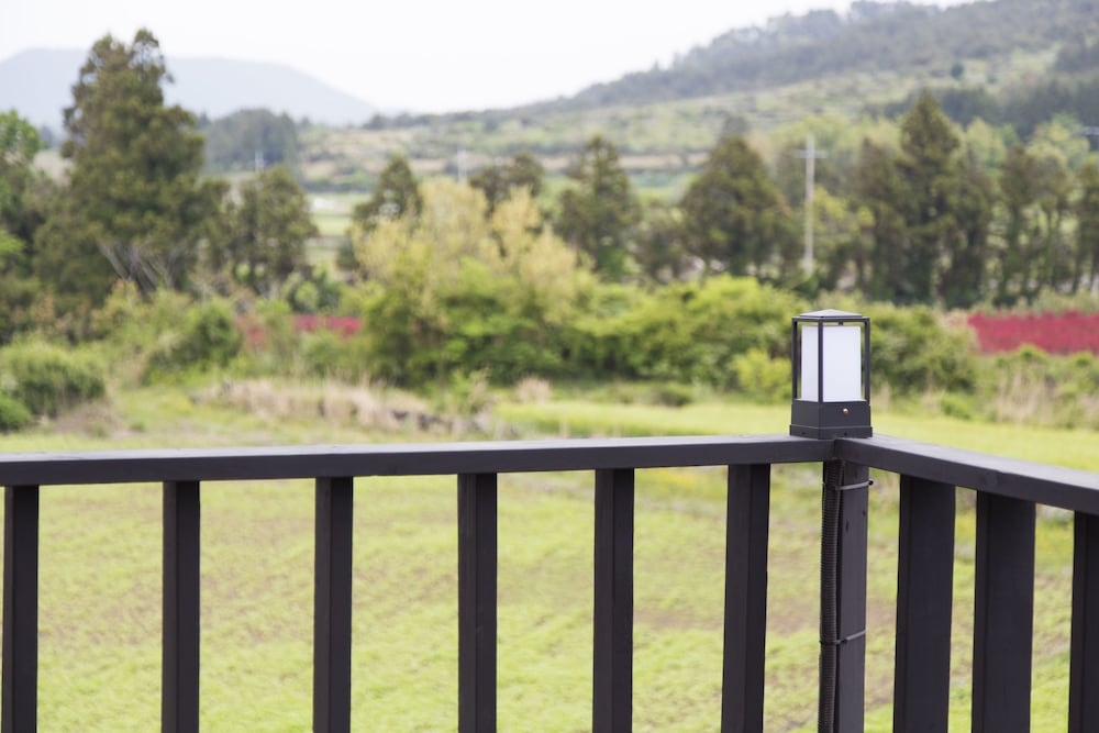 施設からの眺望