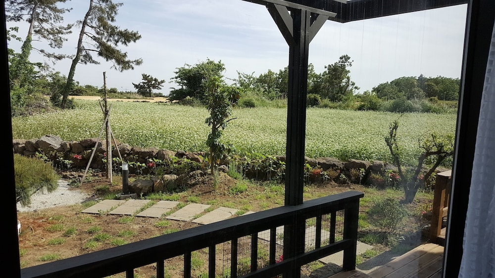 施設からの眺望