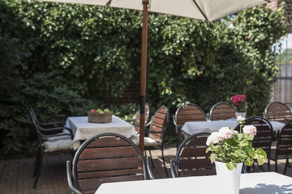 テラス / パティオ