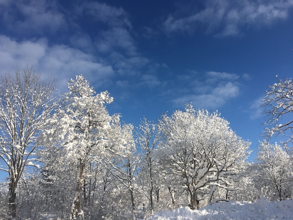 施設からの眺望