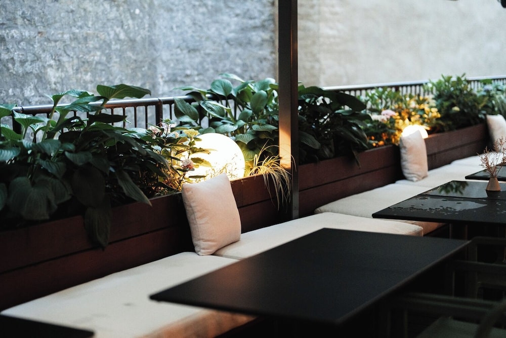 テラス / パティオ