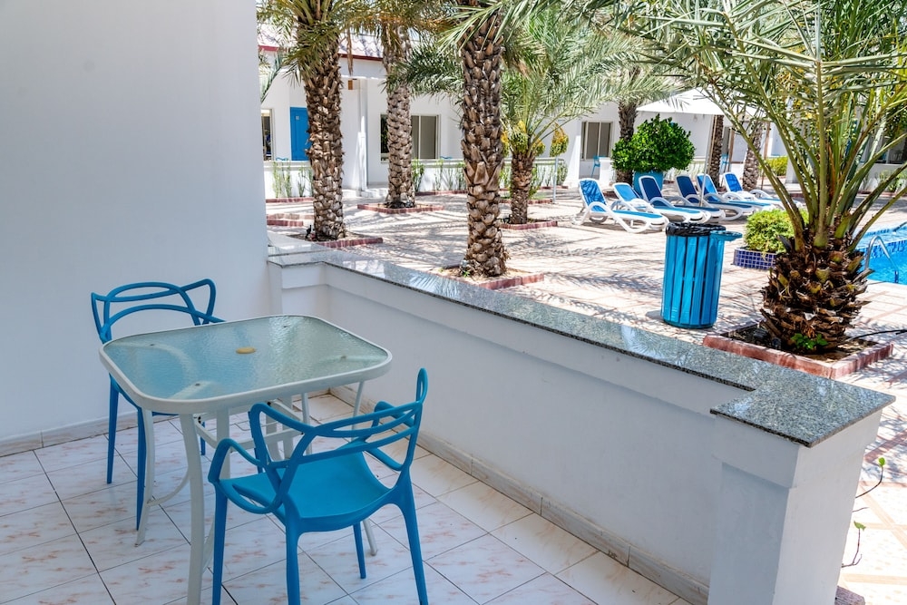 テラス / パティオ