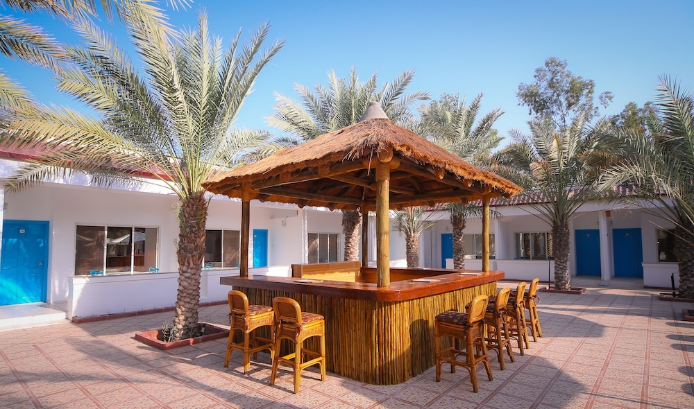 プールサイドバー