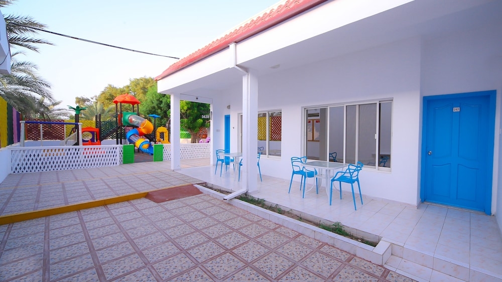 テラス / パティオ