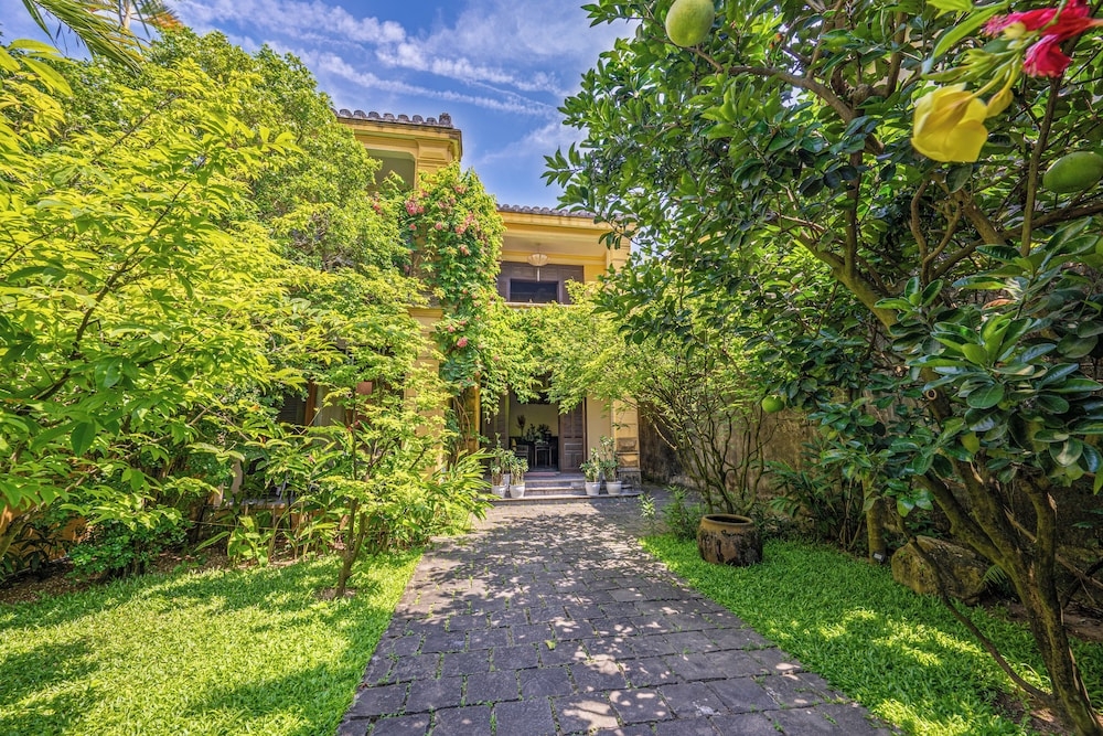 テラス / パティオ