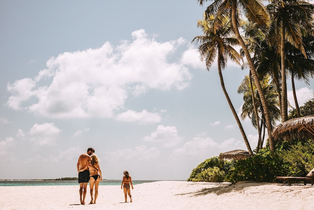 バーベキュー / ピクニック エリア