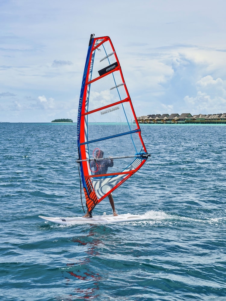 サーフィン / ボディボード