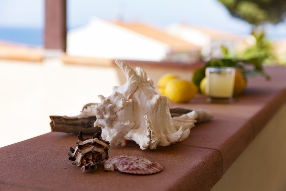 施設からの眺望