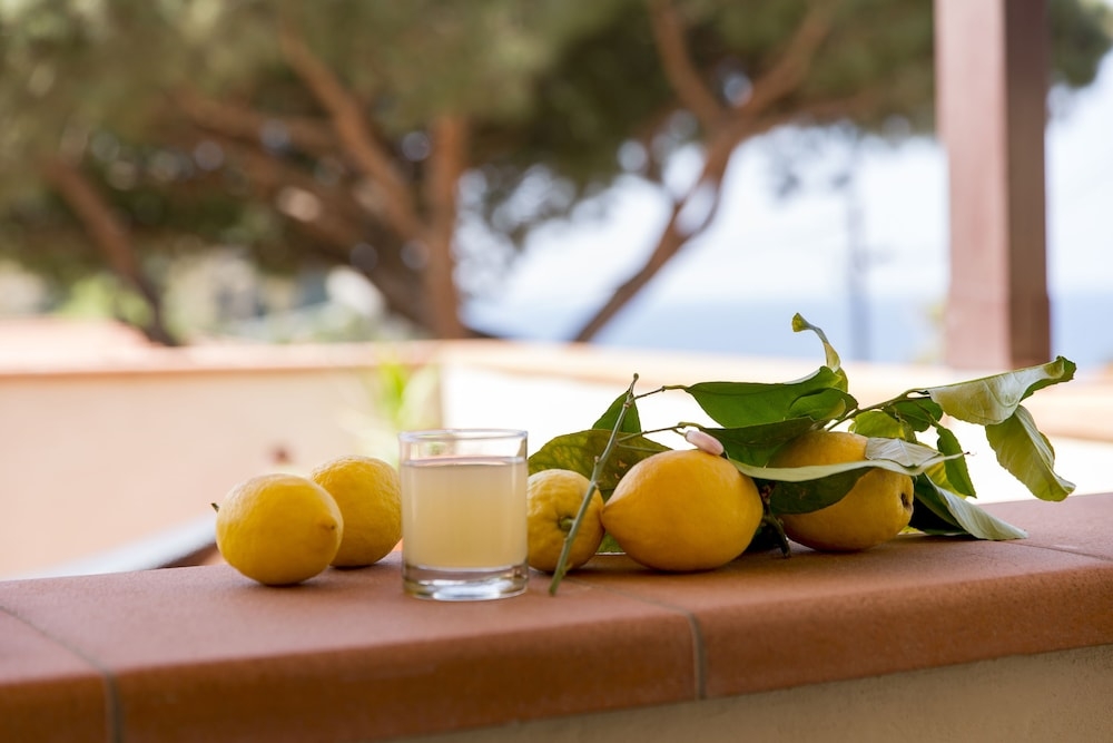 施設からの眺望