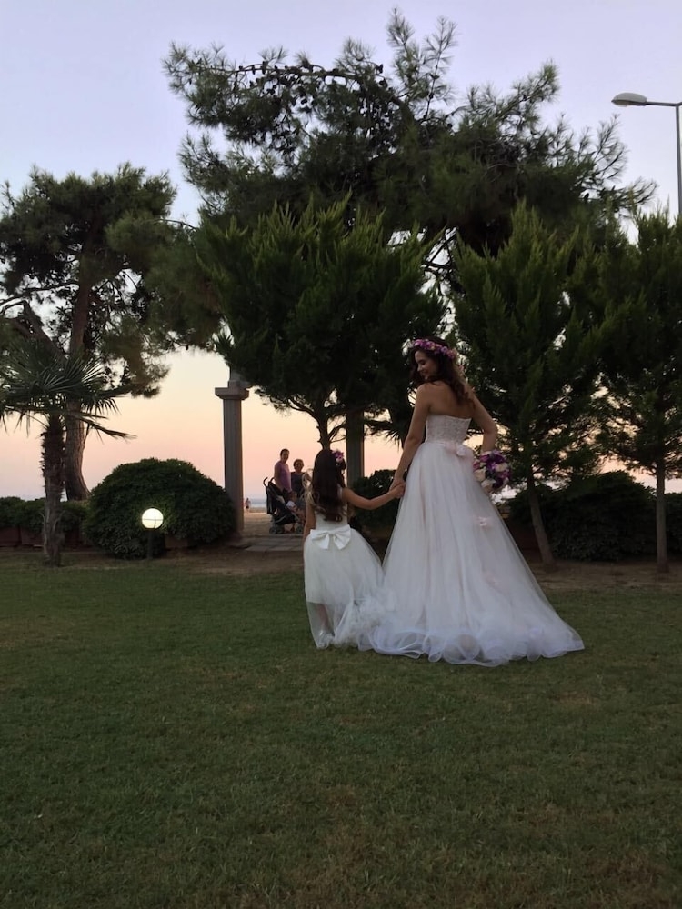 テラス / パティオ