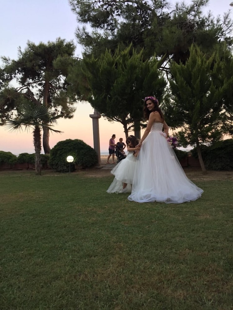 テラス / パティオ