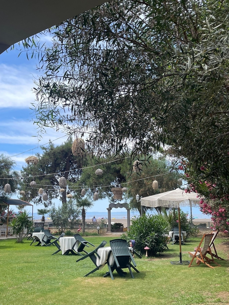 テラス / パティオ