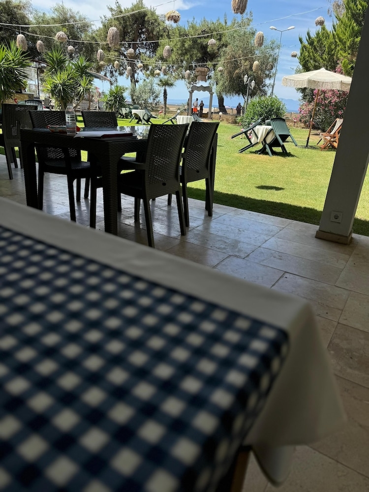 テラス / パティオ