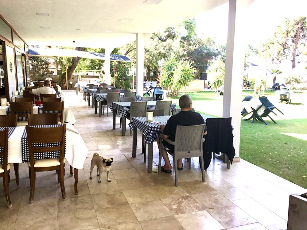 テラス / パティオ