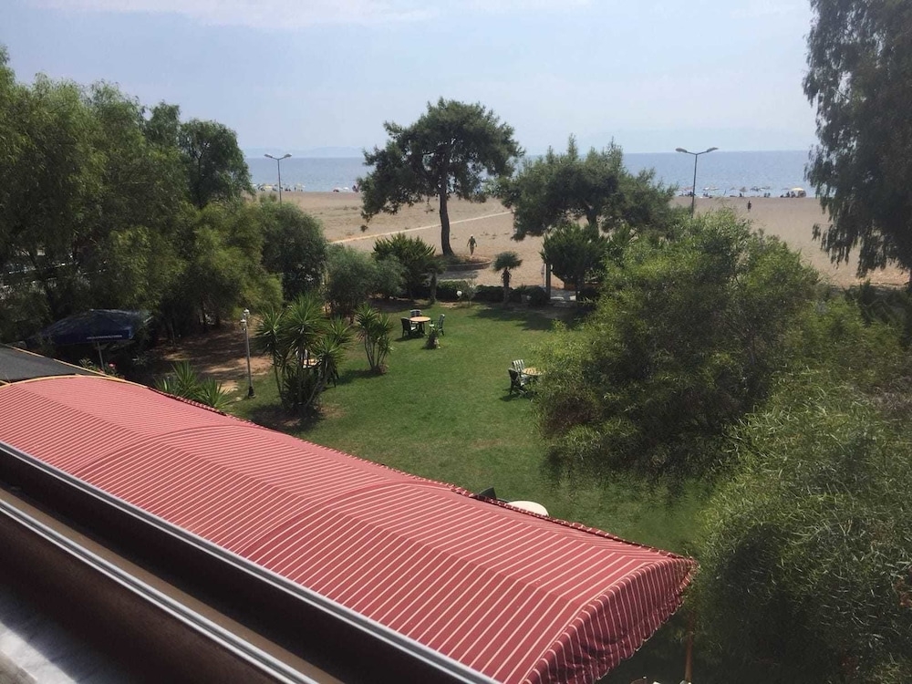 テラス / パティオ