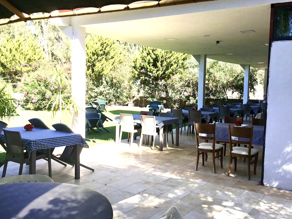 テラス / パティオ