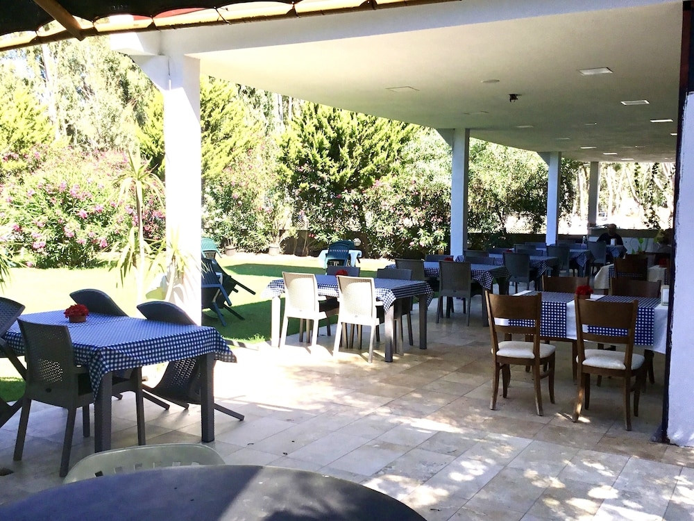 テラス / パティオ