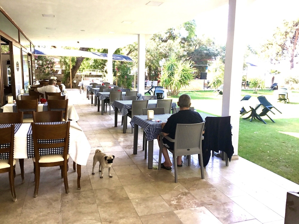 テラス / パティオ