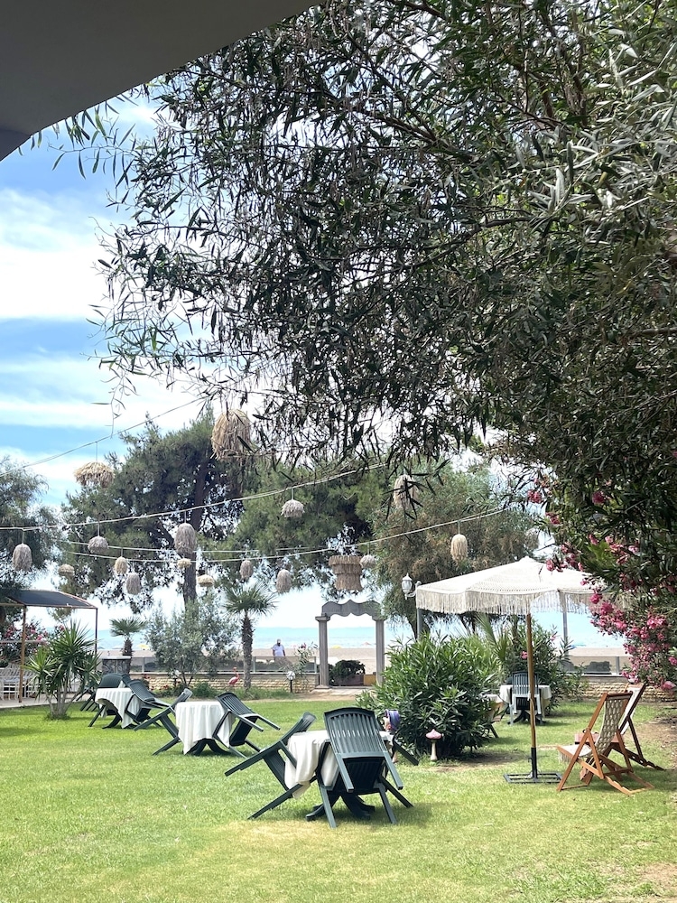 テラス / パティオ