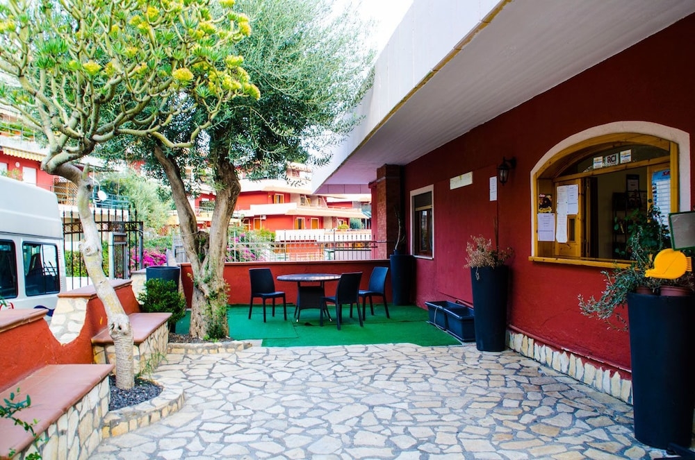 テラス / パティオ