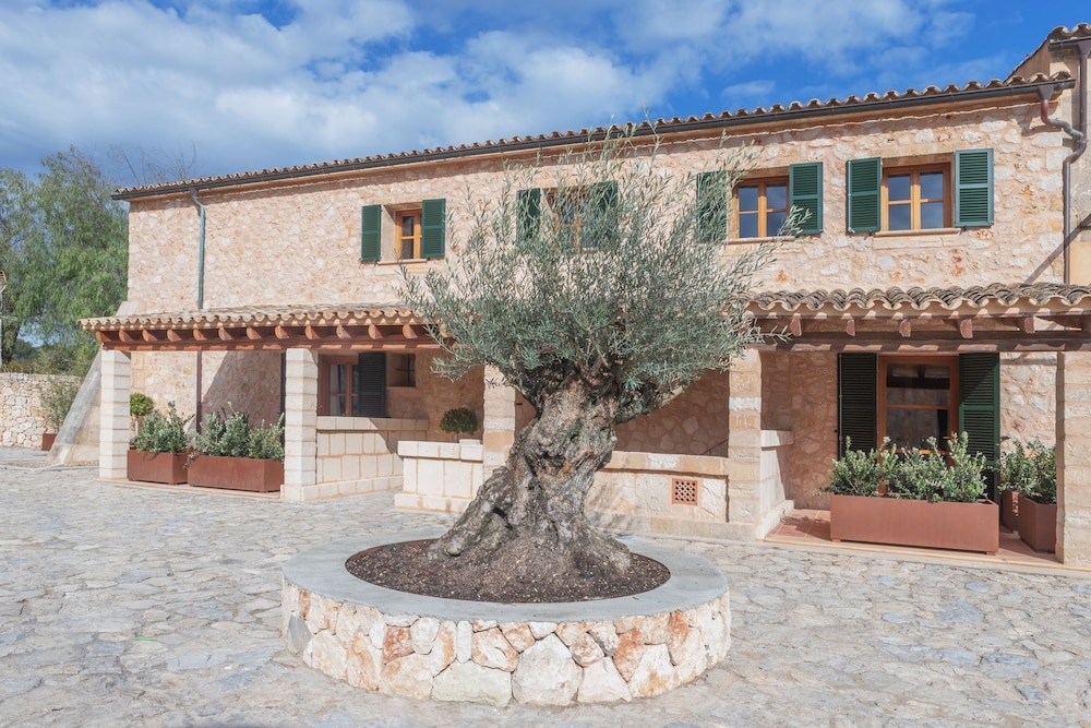 テラス / パティオ