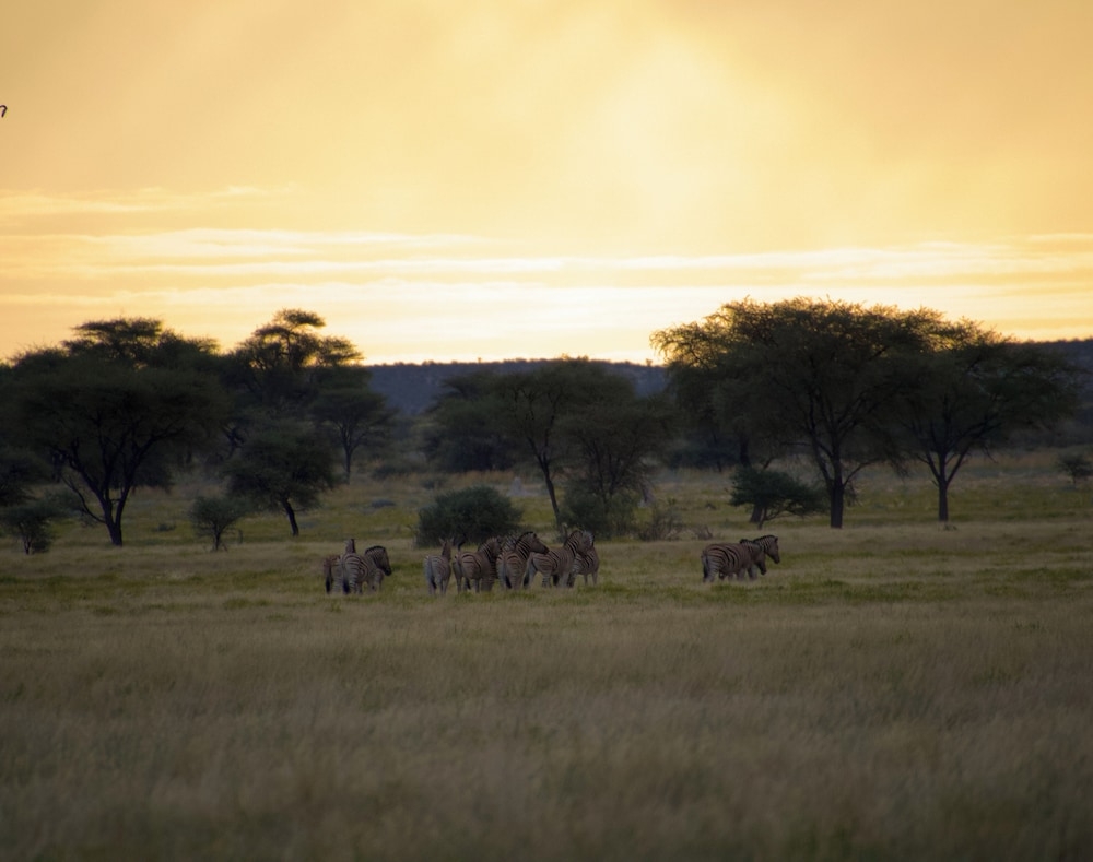ゲーム ドライブ