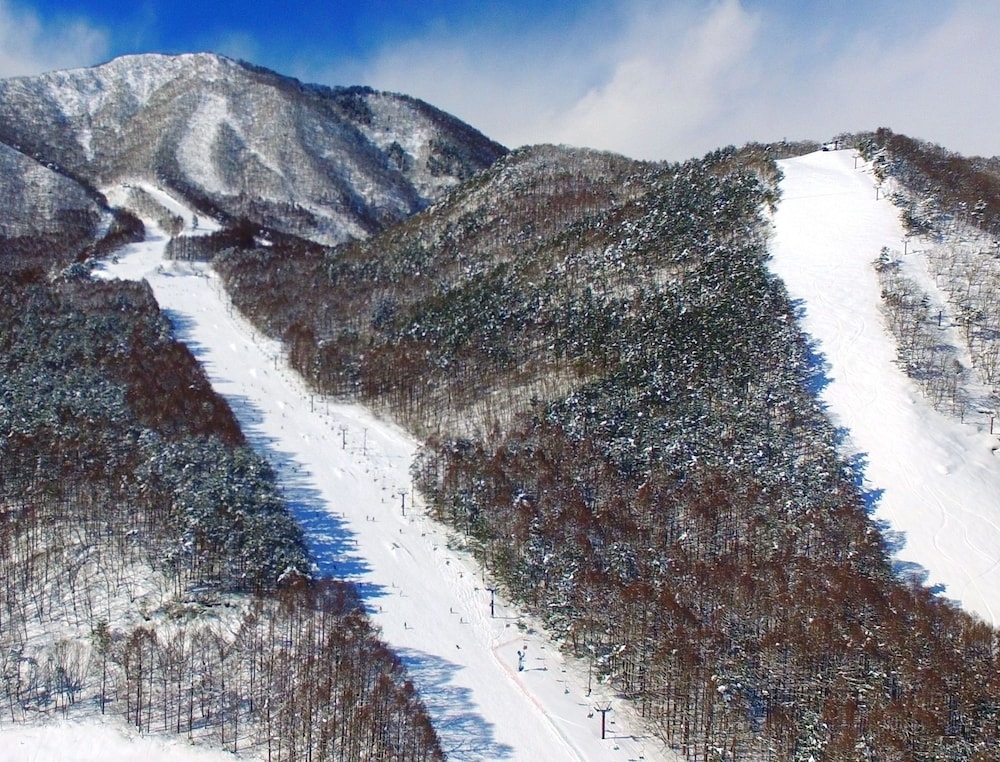 スノー スポーツとスキー