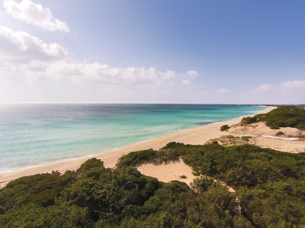 施設からの眺望