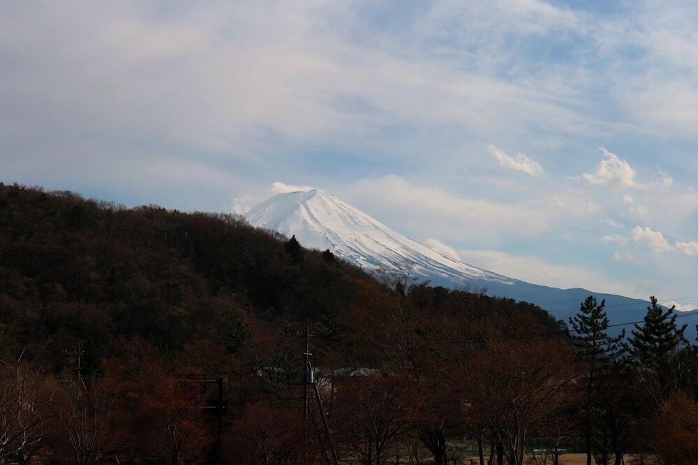 施設からの眺望