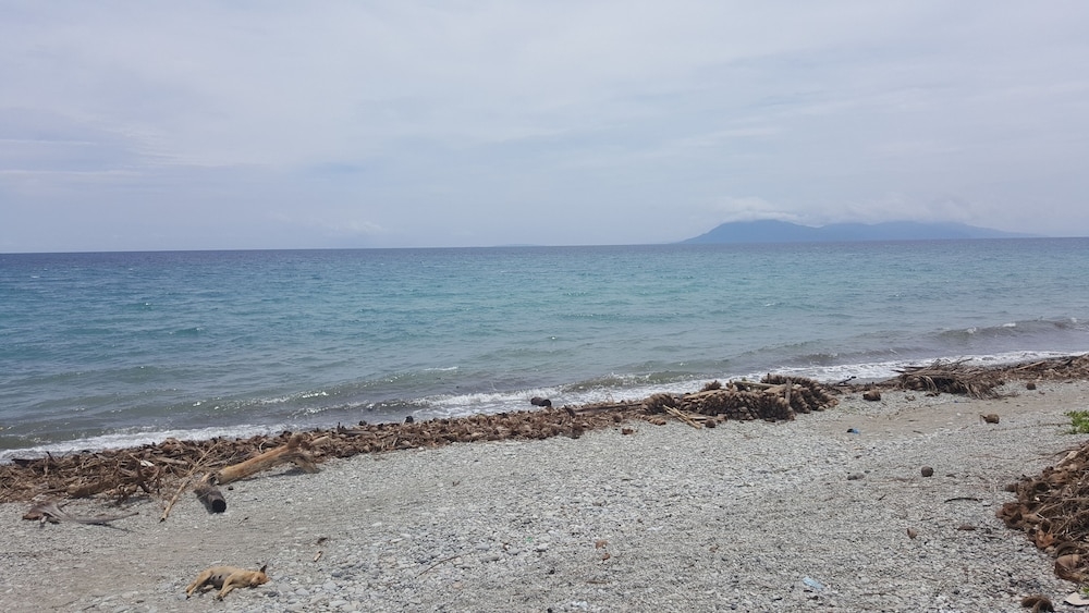 施設からの眺望