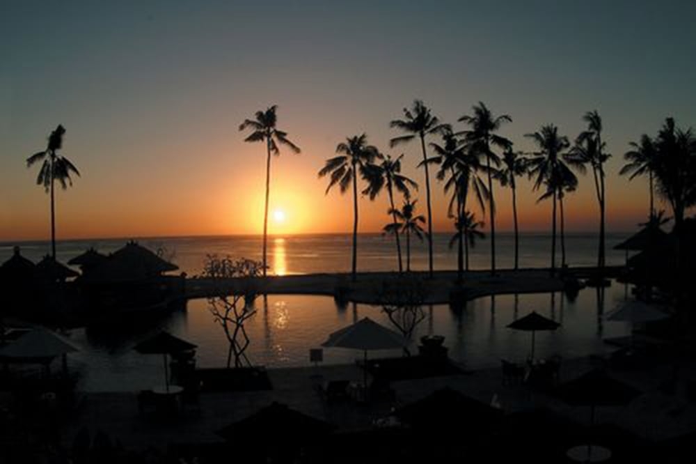 バーベキュー / ピクニック エリア