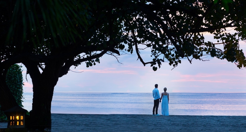 施設からの眺望