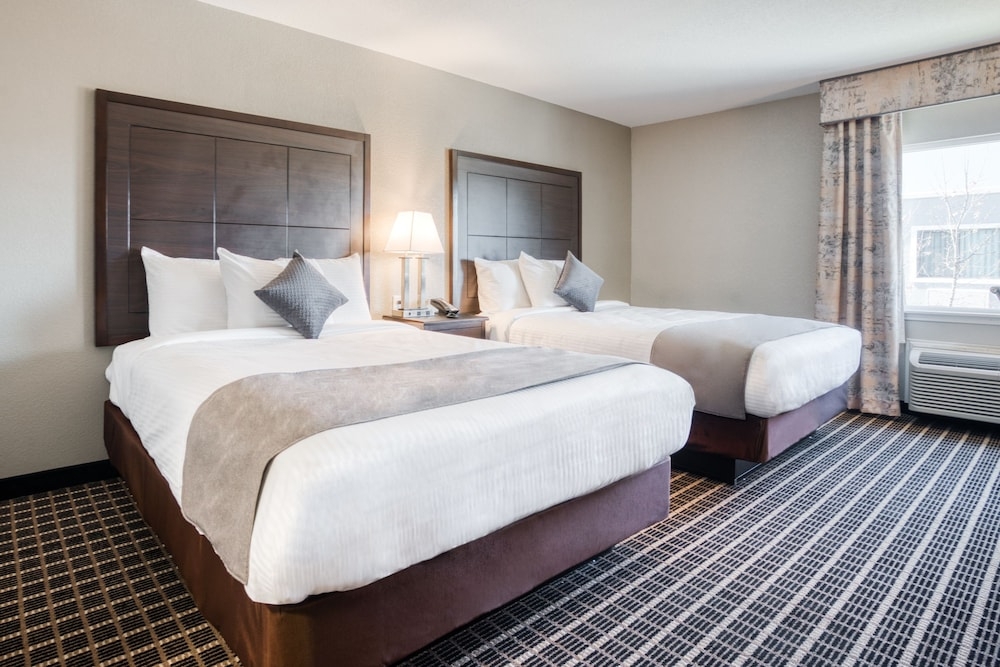 メイン イメージ