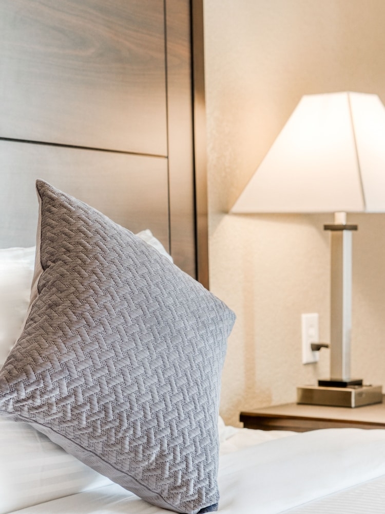 客室の設備とサービス