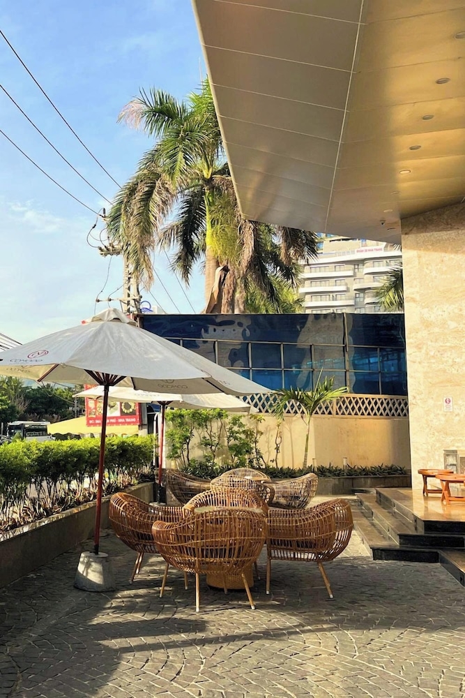 テラス / パティオ