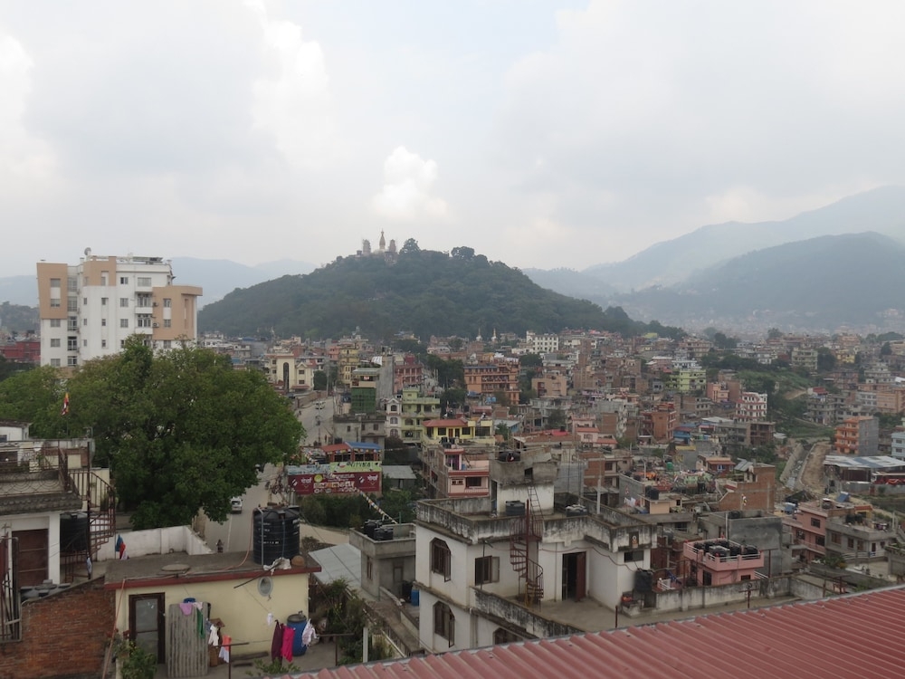 テラス / パティオ