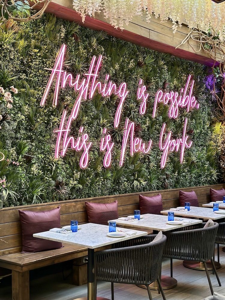 テラス / パティオ